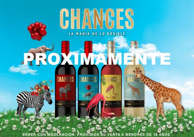 Odoo • Imagen y texto