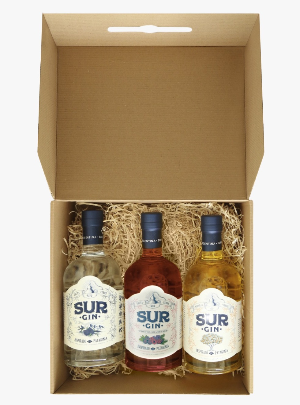 Promo x6 Gin Sur Mix 750cc (copia)