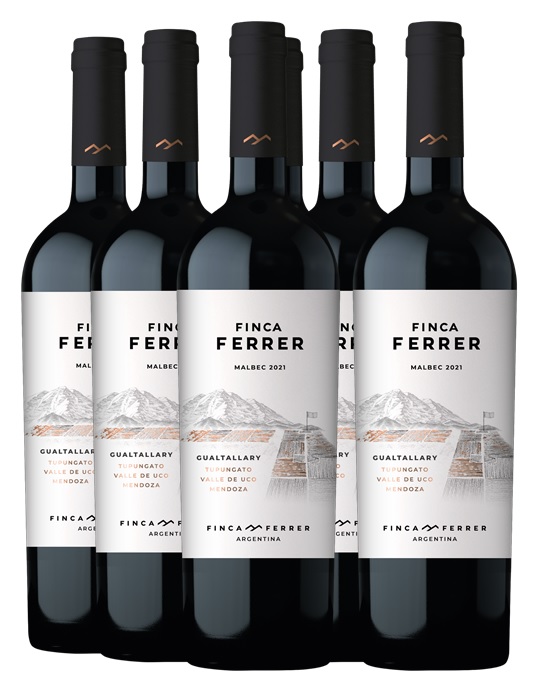 Promo 5+1 Finca Ferrer Malbec 750cc