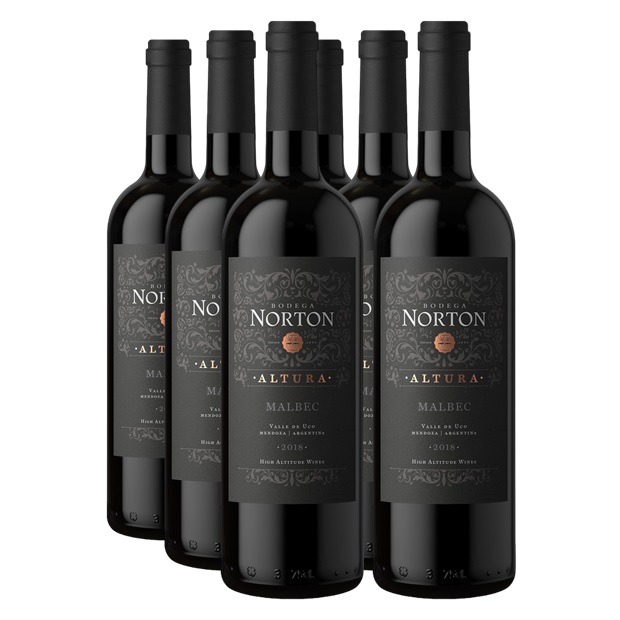 Promo 5+1 Norton Altura Malbec 750cc