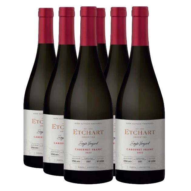 Promo 5+1 Etchart Single Vineyard Cab Franc 750cc