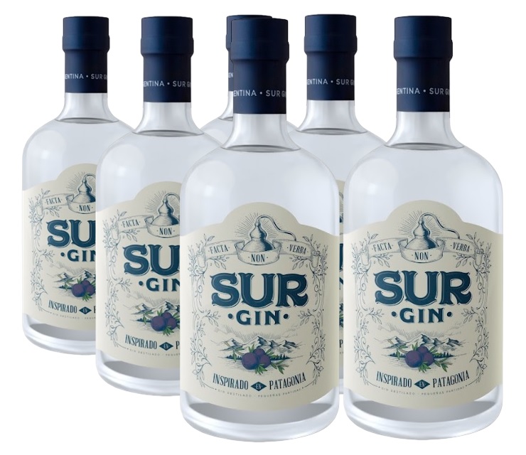 Promo 5+1 Gin Sur 43º 750cc