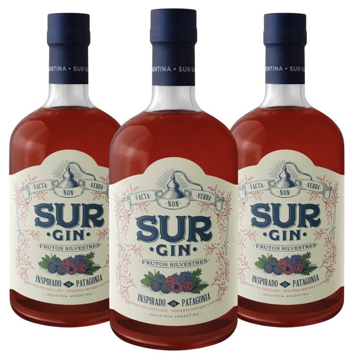 Promo x3 Gin Sur Frutos Silvestres 43° 750cc 10% Off