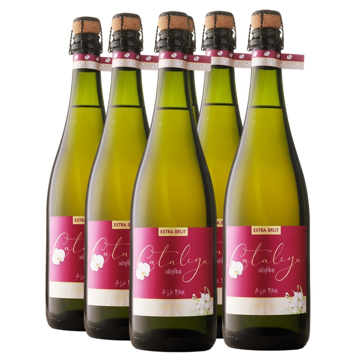 Promo 5+1 Espumante Cataleya Extra Brut 750cc