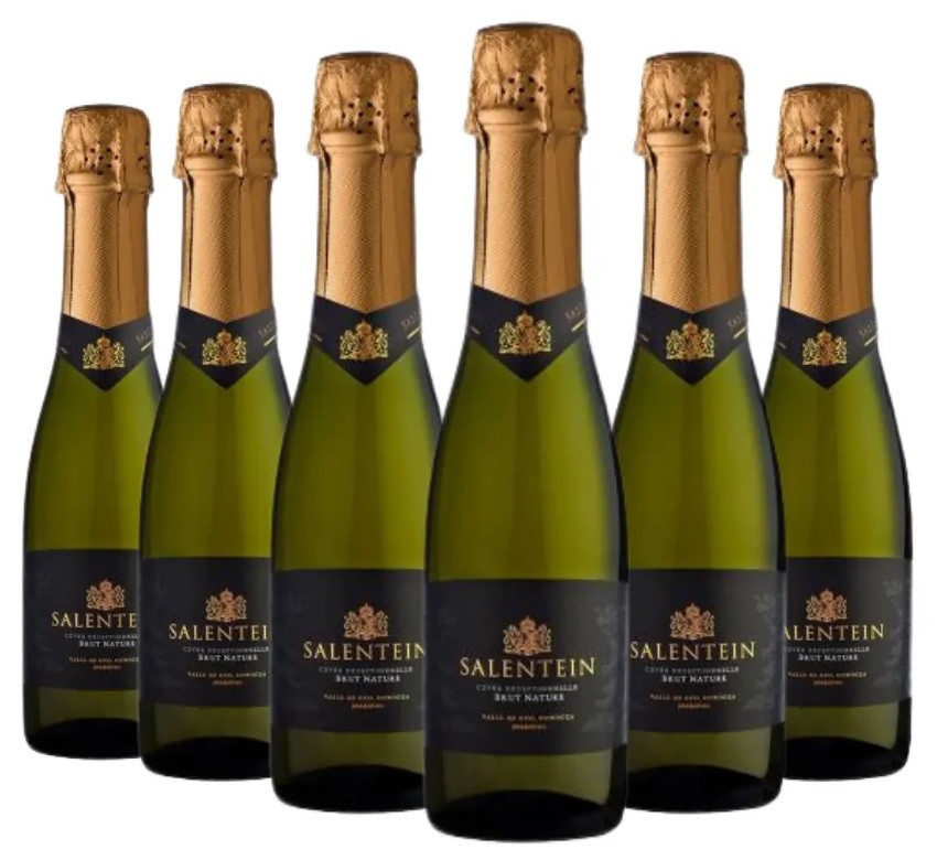 Promo 5+1 Espumante Salentein Brut Nature 375cc