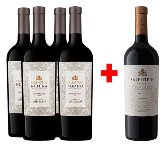 Promo x4 Numina Cab Franc 750cc + 1 Salentein Res Malbec 750cc